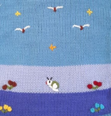 Aqua peruaanse jasje