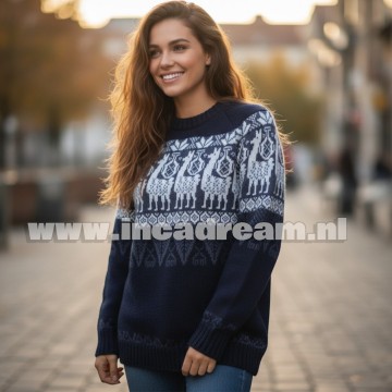Peru sweater 25