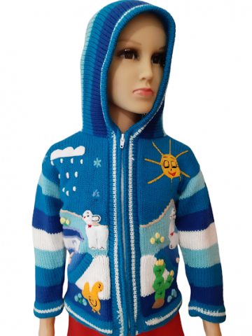 Peru sweater 31
