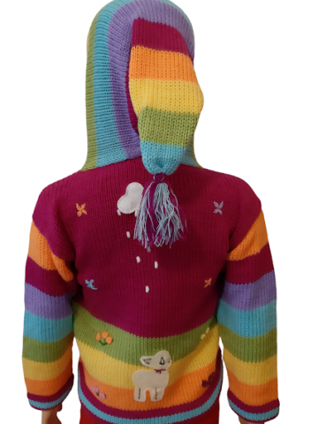 Peruvian hoodie 17