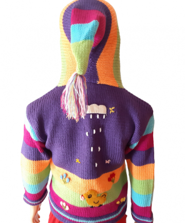 Peruvian hoodie 47