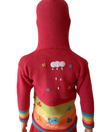 Peruvian hoodie 50