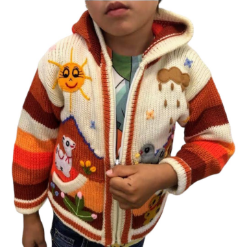 Peruvian sweater 100