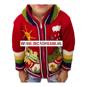 Peruvian sweater 14