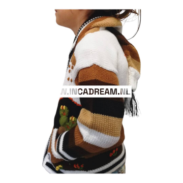 Peruvian sweater 19